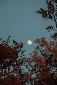 Mondphasen: Wie wirken sie sich auf den Schlaf aus?